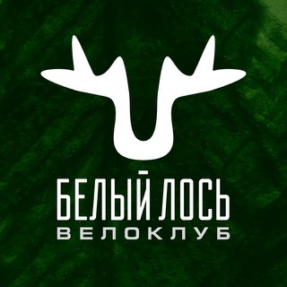 Аватар БЕЛЫЙ ЛОСЬ