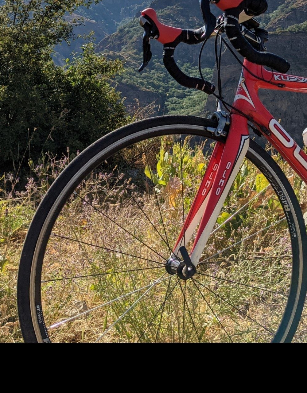 fulcrum racing 5