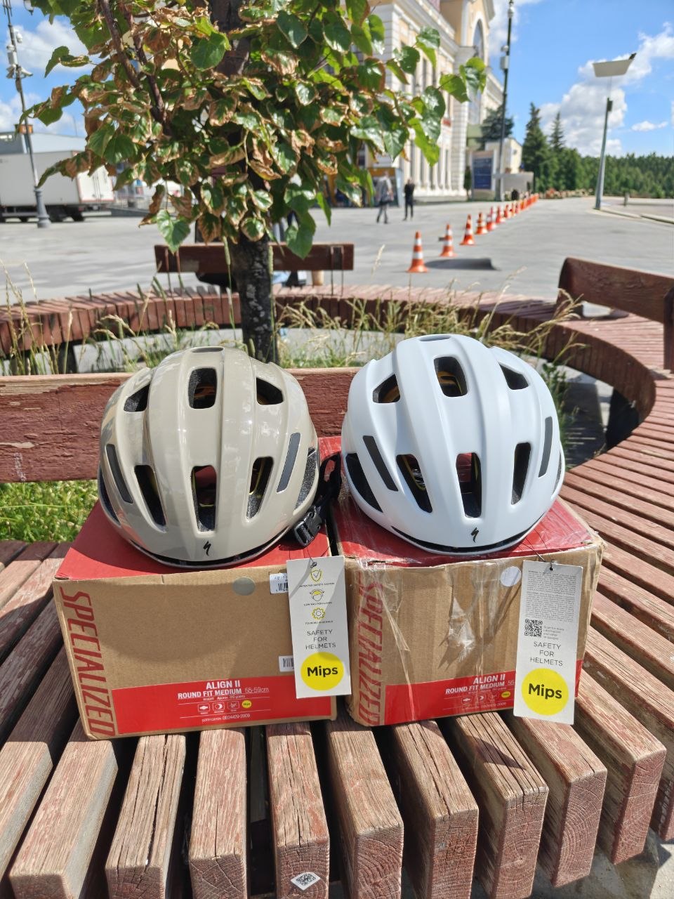 Specialized align II