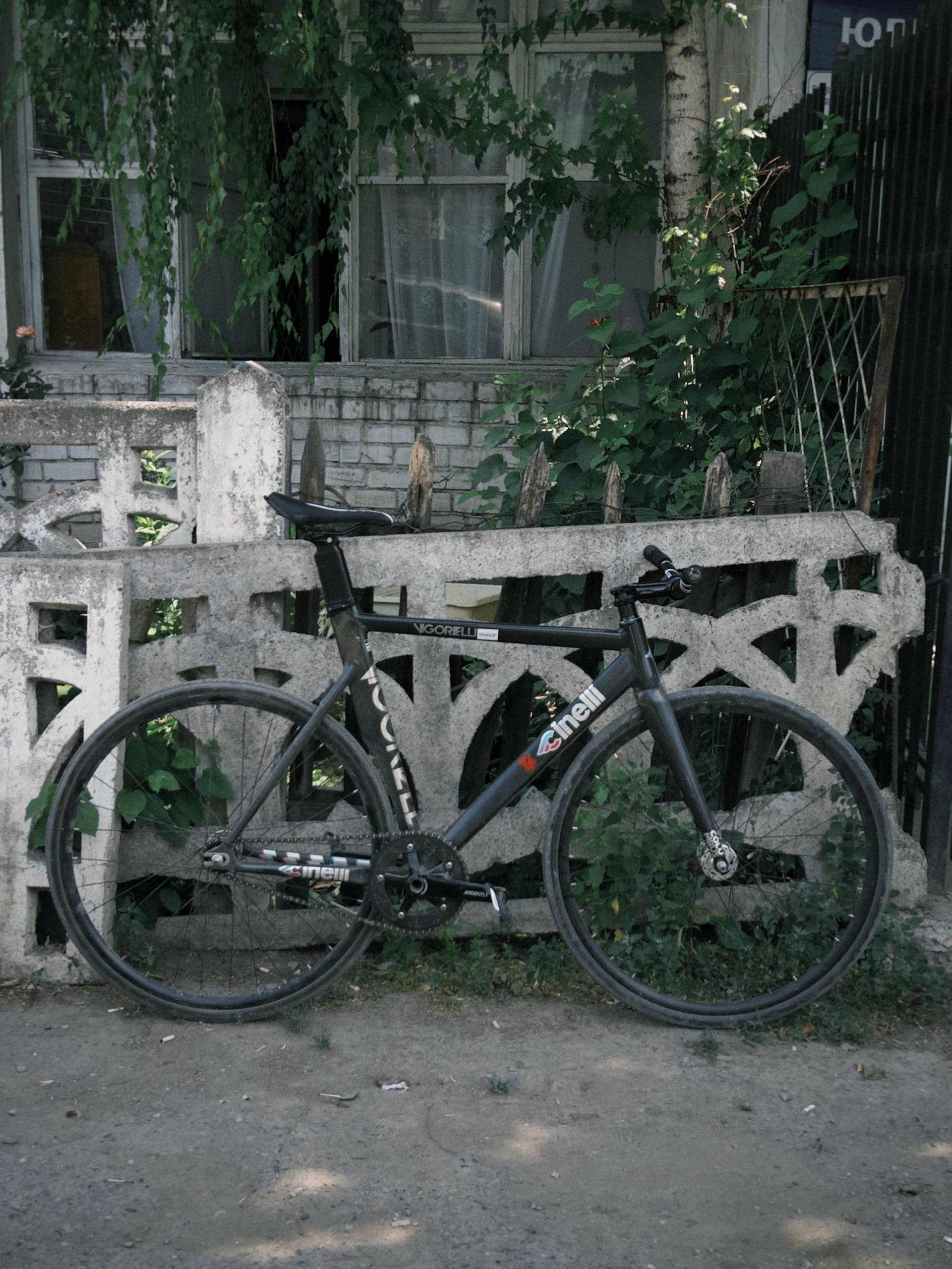 Cinelli Vigorelli Rainbow 2022