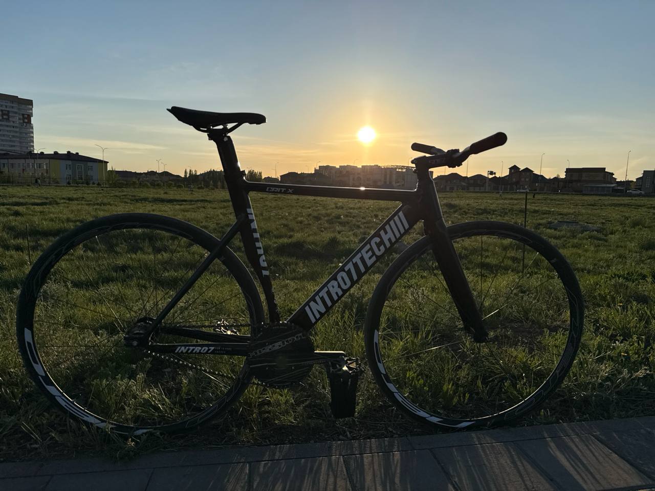 Intro7tech crit x