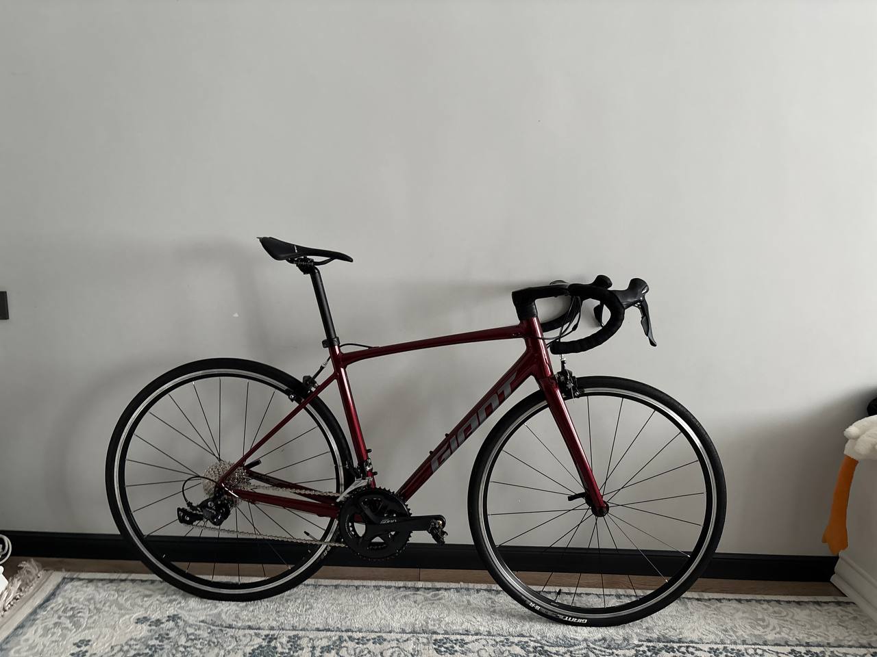 Giant contend 1 2025