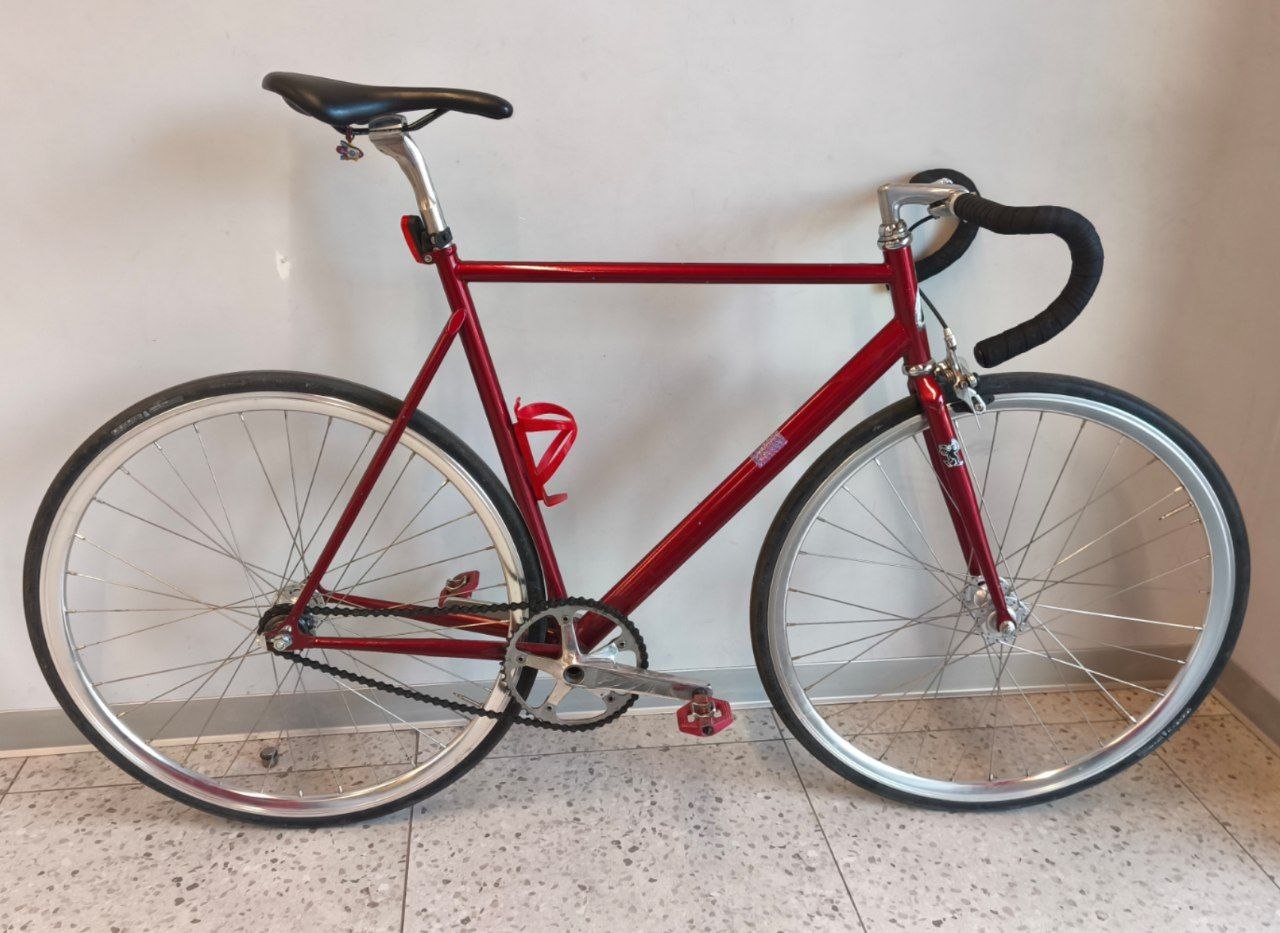 Bearbike Torino