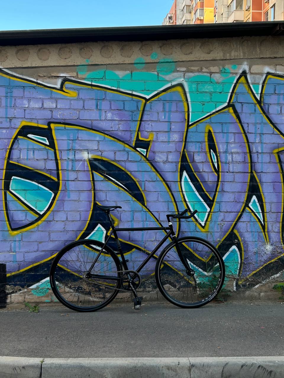 Fuji Feather 2017