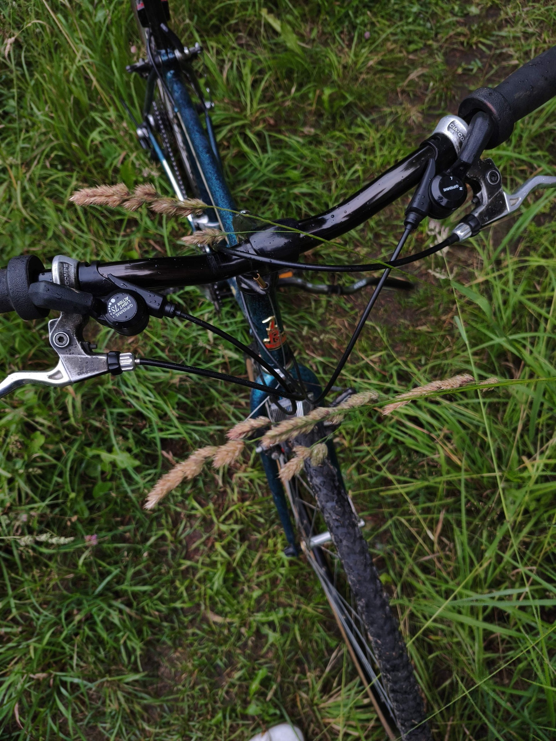 Raleigh pioneer