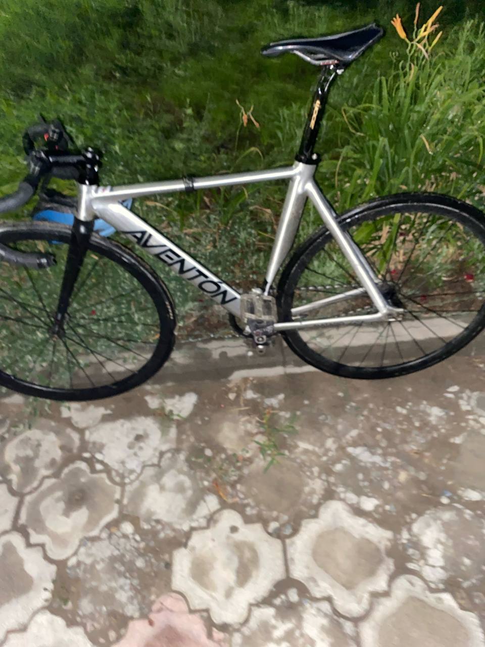Aventon mataro low silver 2016 x nabiis vanz