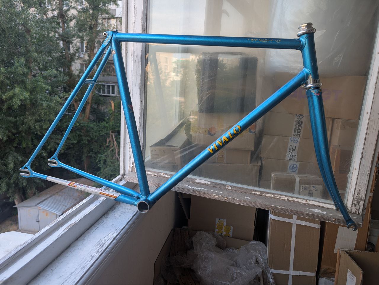 vivalo NJS 53