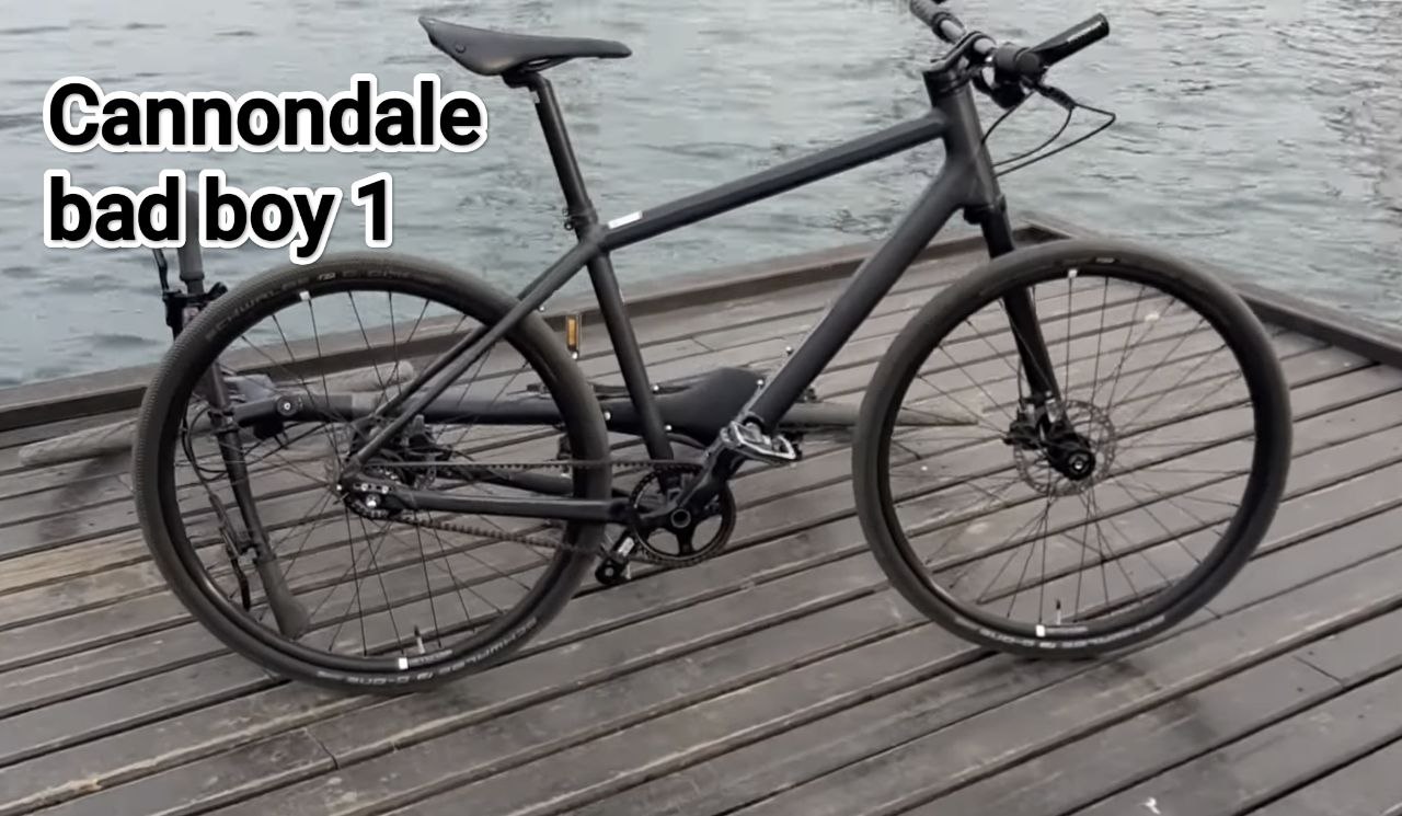 Cannondale bad boy 1